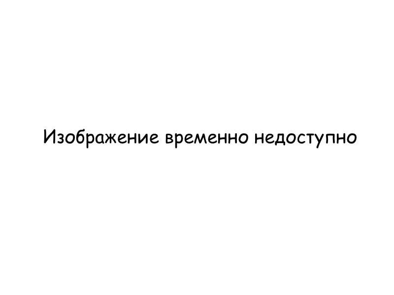 Как разобраться в понятиях на зоне основные принципы и термины