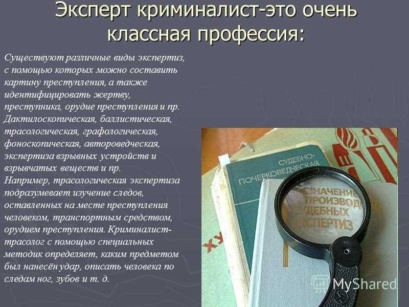 Какие предметы сдавать на криминалиста полное руководство и рекомендации