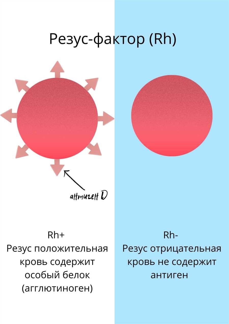 Резус фактор отрицательный причины последствия лечение