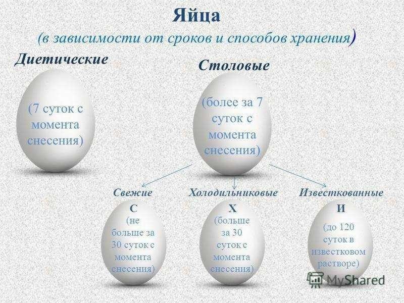 Сколько можно хранить сырые яйца в холодильнике проверенные сроки хранения